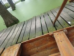 -渌洋湖湿地公园
