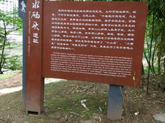-恩阳古镇