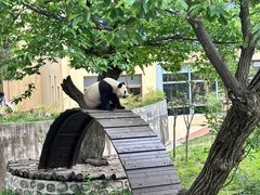 -西安秦岭野生动物园
