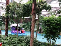 -南宫五洲植物乐园