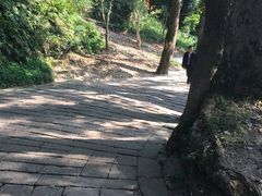 -普陀山风景区-佛顶山