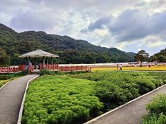 -广州市石门国家森林公园