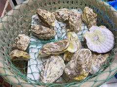 -喝丢一只鞋海鲜烧烤·海肠捞饭(文体街店)