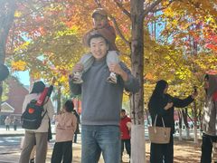 -辽宁大学(崇山校区)