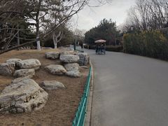 -燕郊植物园