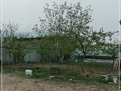 -大自然农场蔬菜草莓采摘园