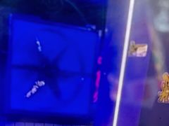 -关你鬼室大型密室逃脱(佛山创意园店)