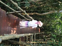 iphone_upload_pic-三亚亚龙湾人间天堂鸟巢度假村