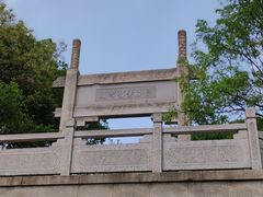 -紫金山山顶公园