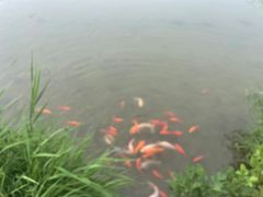-河北省园博园