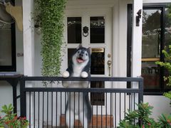 -TrueLove @ Neverland (Husky Cafe)