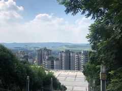 -铁山坪森林公园