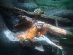 -福州罗源湾海洋世界旅游区