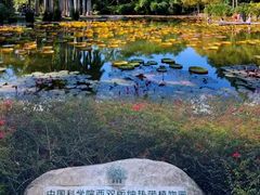 -中国科学院西双版纳热带植物园
