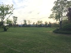 -上海崇明金茂凯悦酒店