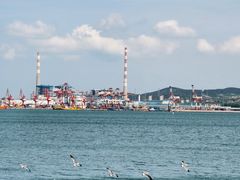 -悦海公园
