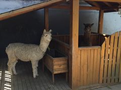 -瑞博尔花园酒店(太周创新产业园店)