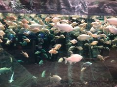 -南昌融创海世界