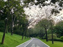 -云溪植物园
