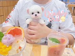 -Double Rui宠物酒店