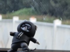 -剪花娘子·陕西面馆(上海川沙百联店)