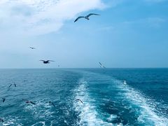-海驴岛(荣成市)