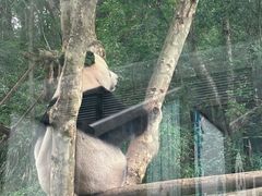 -黔灵山公园