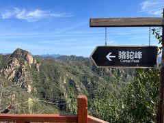 -大岭沟猕猴桃谷风景区