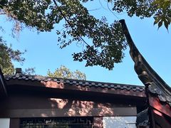 -十八棵（老龙井）御茶园(老龙井店)