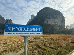 -明仕田园