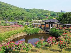 -龙寺生态园