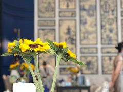 -翠湖宾馆·中餐厅