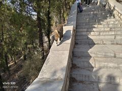 -四门塔风景区