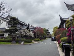 -上海皇廷花园酒店·御宴中餐厅