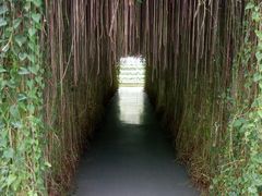 -广东茂名森林公园