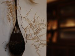 -Ginko银子(青龙街店)