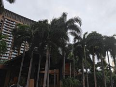 -三亚湾红树林度假世界(木棉酒店)