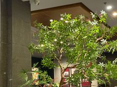 -峨嵋酒家(牡丹园店)