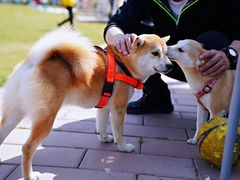 -TIPPI营地 房车主题·露营烧烤团建轰趴(天安假日店)