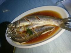 清蒸白水鱼-老品芳