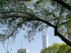 -团结湖公园