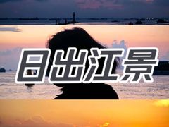 -上海吴淞炮台湾国家湿地公园