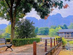 -江西龙虎山景区