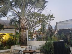-自由生长植物工作室(深港花卉中心店)