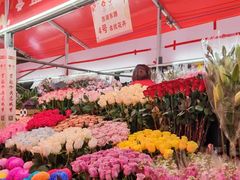 -越秀西湖花市(广州城市广场花卉店)