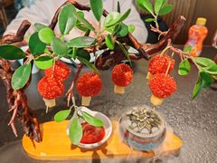 -唐猫庭院·千年陕菜(赛格国际购物中心店)