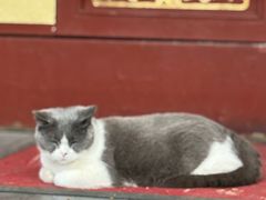 -长春观