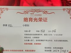 -米苏动物医院·犬猫专科·骨科外科内窥镜