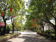 -李小龙乐园(顺德均安店)