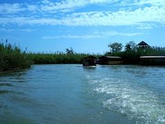 -泗洪洪泽湖湿地景区